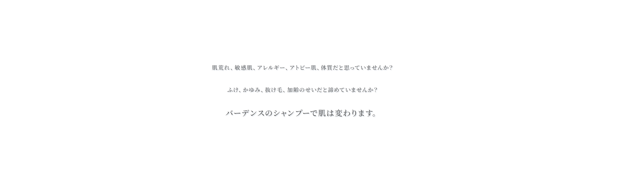new_page_bg02