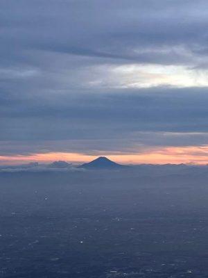 IMG_1654.jpg