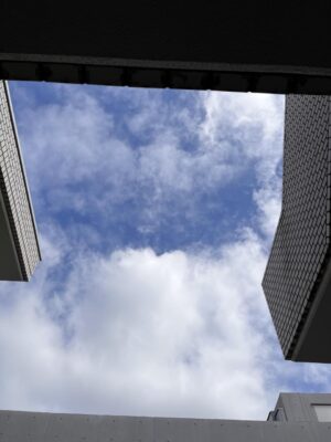 IMG_5702.jpeg
